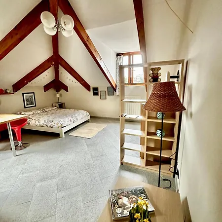 Loft Centro Storico Tommaso Апартаменты Турин