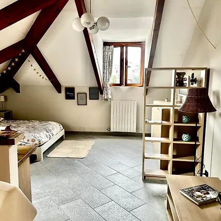 דירה Loft Centro Storico Tommaso טורינו