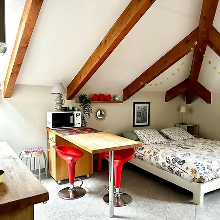 Loft Centro Storico Tommaso 公寓 *